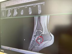 -北京德尔康尼骨科医院