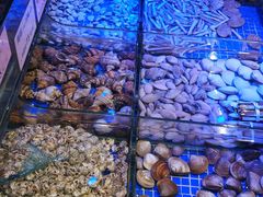 -青蓬蒸汽海鲜·深圳老字号·团建聚会(壹方城店)
