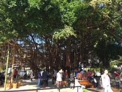 -胡里山炮台