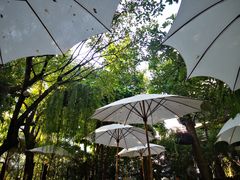 -Fern Forest Cafe