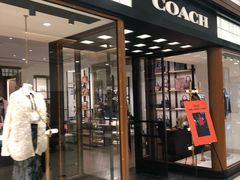 -COACH蔻驰(星光68广场店)