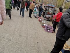 -保定市花鸟鱼虫市场