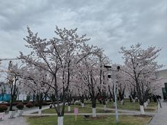 -龙美术馆(西岸馆)