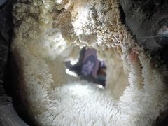 -湖南省地质博物馆