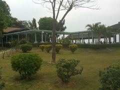 -大湾区中央湿地公园