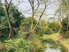 -韩湘水博园