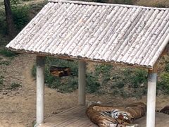 -石家庄市动物园