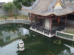 -碧江金楼