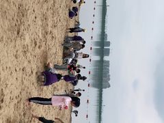 -柳湖沙月沙滩公园