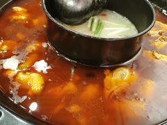 -重庆烧鸡公火锅(簋街店)