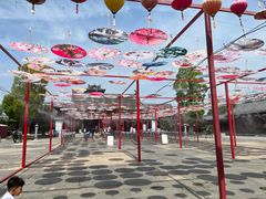 -祥源·阜阳生态乐园