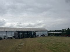 -美家乐农庄·露营·团建(大治路店)