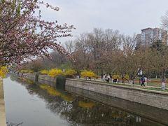 -元大都城垣遗址公园