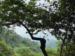 -火炉山森林公园