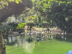 -九龙公园