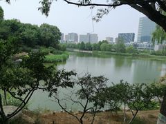 -大兴滨河森林公园