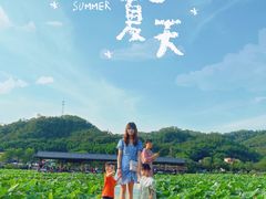 -红山村