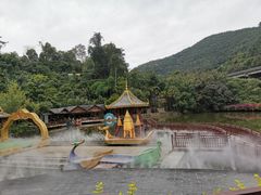 -西双版纳原始森林公园