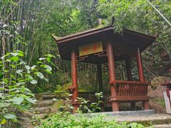 -羚羊峡古栈道森林公园