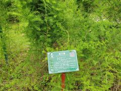 -广西壮族自治区药用植物园