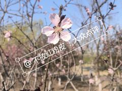 -水西公园