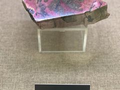 -甘肃地质博物馆