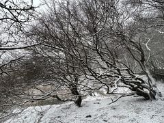 -神农架景区