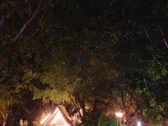 -婉泰·特色小吃·舂鸡脚(告庄二店)