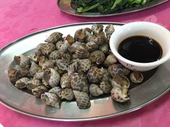 -大湾区中央湿地公园-十九涌