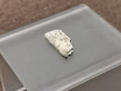-嘉定博物馆