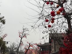 -中国翰园碑林