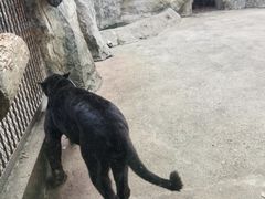 -南昌动物园