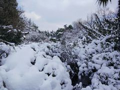 -荆川公园