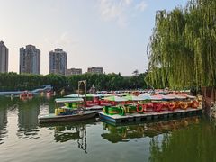 -团结湖公园