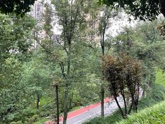 -龙头寺公园