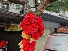 -溪岸路花鸟市场