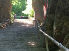 -天女山森林公园
