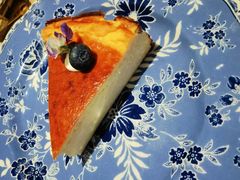 -O'eat Blossom&Pelican(深圳首店)