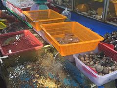 -拉威海鲜市场