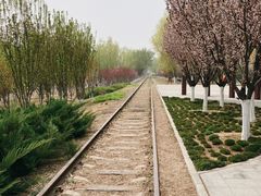 -永定河休闲森林公园