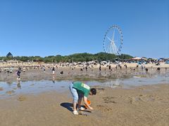 -辽宁团山国家级海洋公园