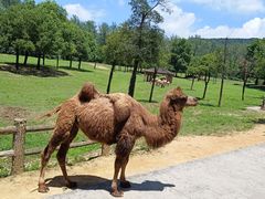 -杭州野生动物世界