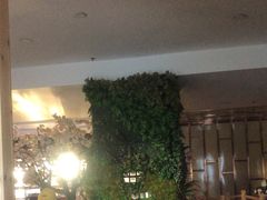 -恒坤北纬42度温泉洗浴(公园路店)