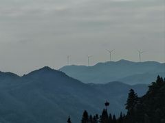 -紫鹊界梯田景区