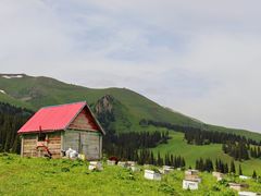 -新疆那拉提国家旅游度假区
