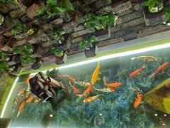 -小龙坎火锅(新天润店)