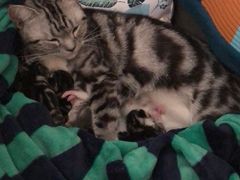 -乖乖乐动物医院(小汤山分院)