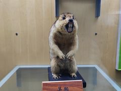 -陕西自然博物馆