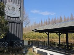 -黄海国家森林公园