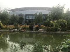 -北京国家会计学院